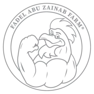LOGO-07